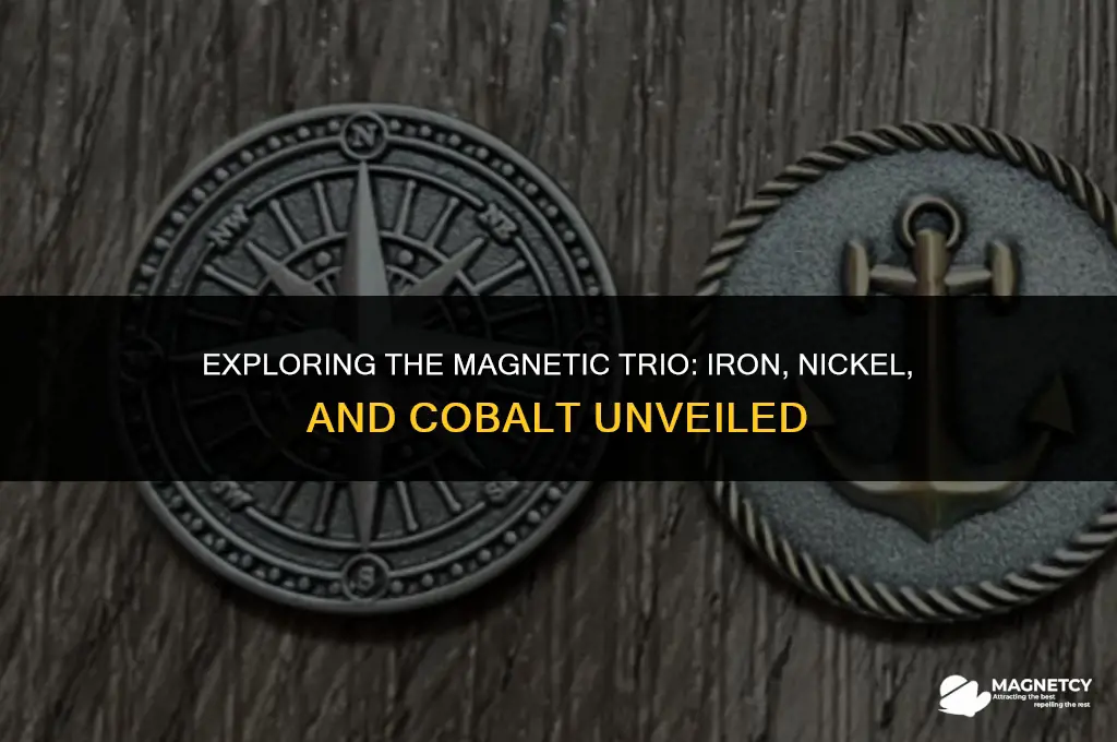 what are the three metals that are magnetic