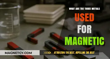 Metals That Magnetize: Exploring Three Key Magnetic Materials