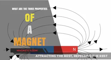 Exploring Magnetism: The Trio of Magnetic Properties Unveiled