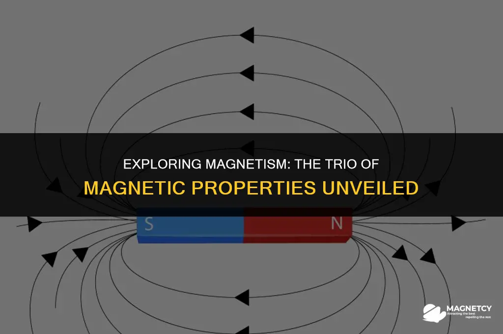 what are the three properties of a magnet