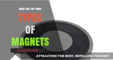 Exploring the Trio of Magnetic Wonders: A Comprehensive Guide