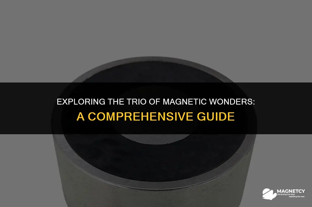 what are the three types of magnets