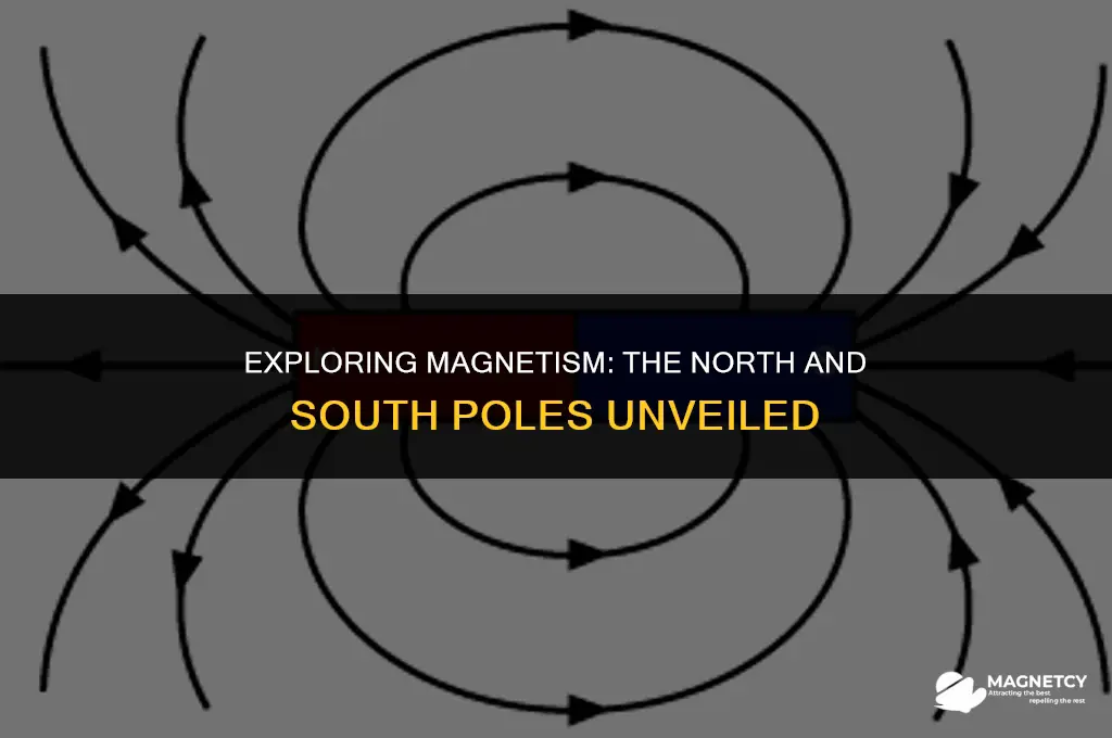 what are the two poles of a magnet called