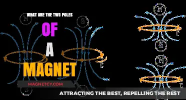 Exploring Magnetism: Understanding the Dual Nature of Magnetic Poles