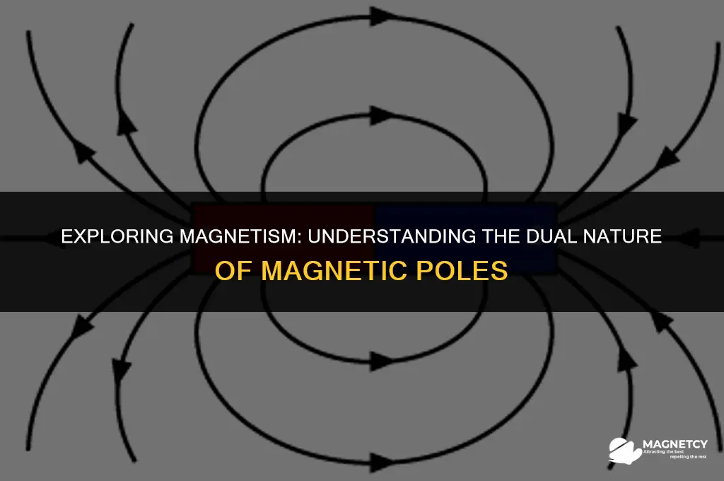 what are the two poles of a magnet