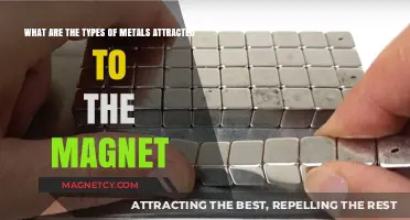 Magnetic Metals: Exploring Types Attracted to Magnets and Their Uses
