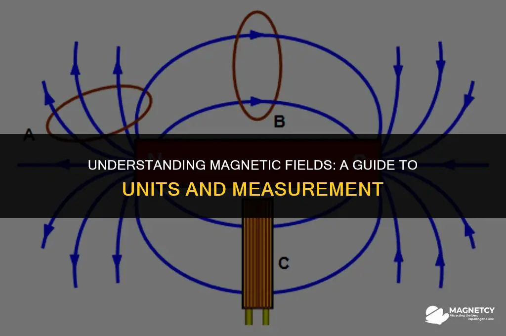what are the units for magnetic field