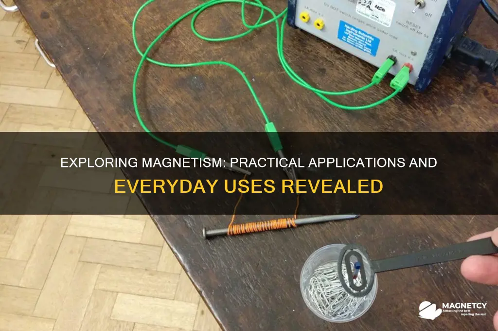 what are the uses of magnetism