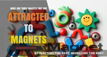 Magnetic Marvels: 3 Everyday Objects That Stick to Magnets