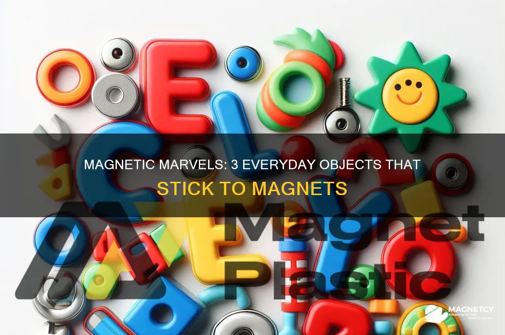 what are three objects that are attracted to magnets