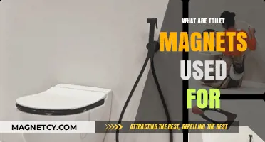 Toilet Magnets: Unveiling Their Surprising Uses and Benefits