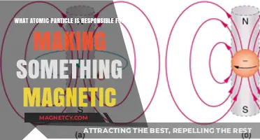 Unveiling Magnetism's Secret: The Atomic Particle Behind It All