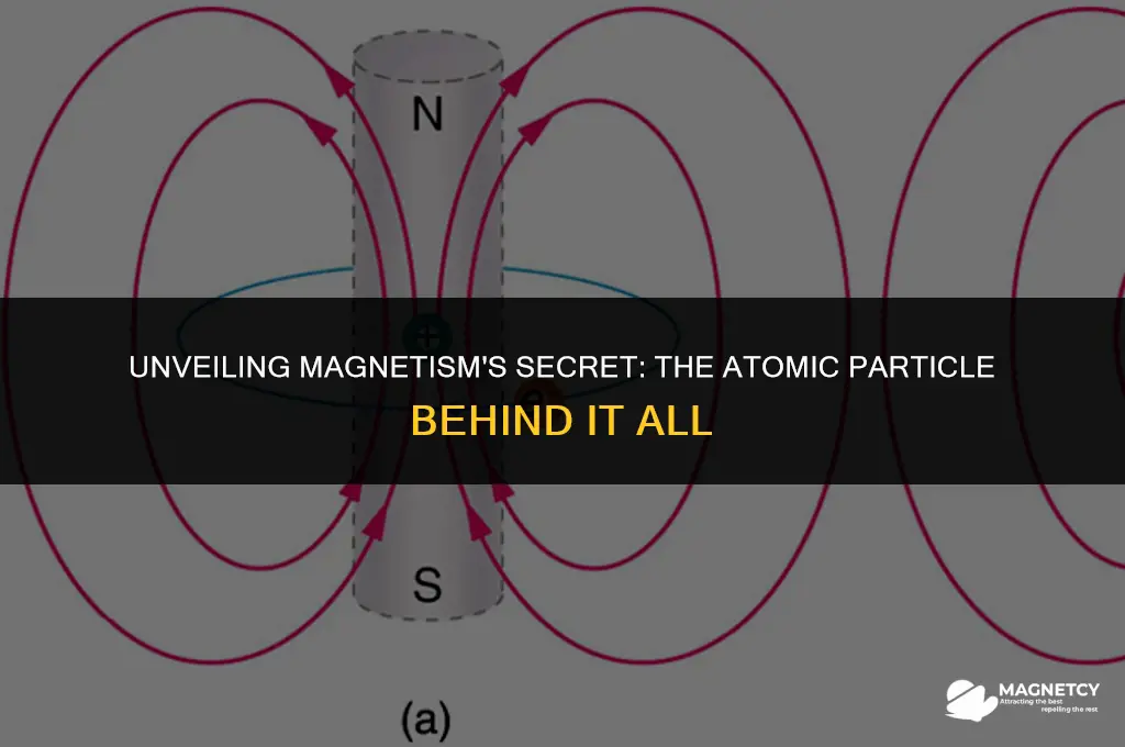 what atomic particle is responsible for making something magnetic