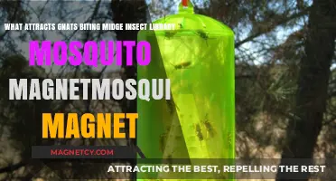 Attracting Gnats, Midges, and Mosquitoes: Understanding Insect Behavior and Traps