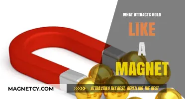 Unveiling the Magnetic Allure: What Truly Attracts Gold Like a Magnet