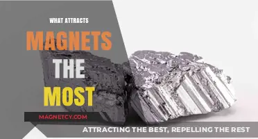 Unveiling the Strongest Magnetic Attractions: Materials Magnets Love Most