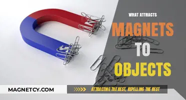 Unveiling the Magnetic Force: What Draws Magnets to Objects?