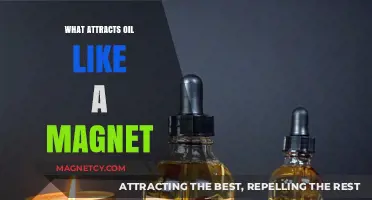 Magnetic Allure: Unveiling the Surprising Forces That Attract Oil Instantly