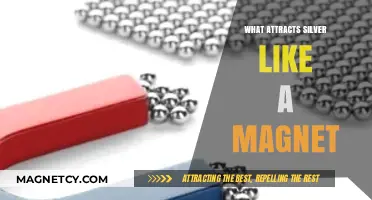 Unveiling the Magnetic Allure: What Draws Silver Irresistibly Close