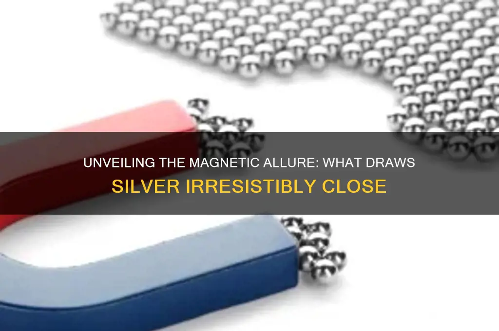 what attracts silver like a magnet