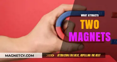 Magnetic Attraction: Unveiling the Forces Behind Magnet Interactions