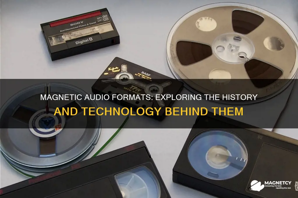 what audio format used magnets