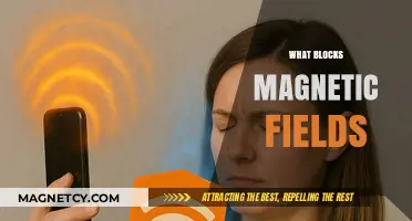 Shielding Secrets: Unveiling the Mysteries of Magnetic Field Blockers