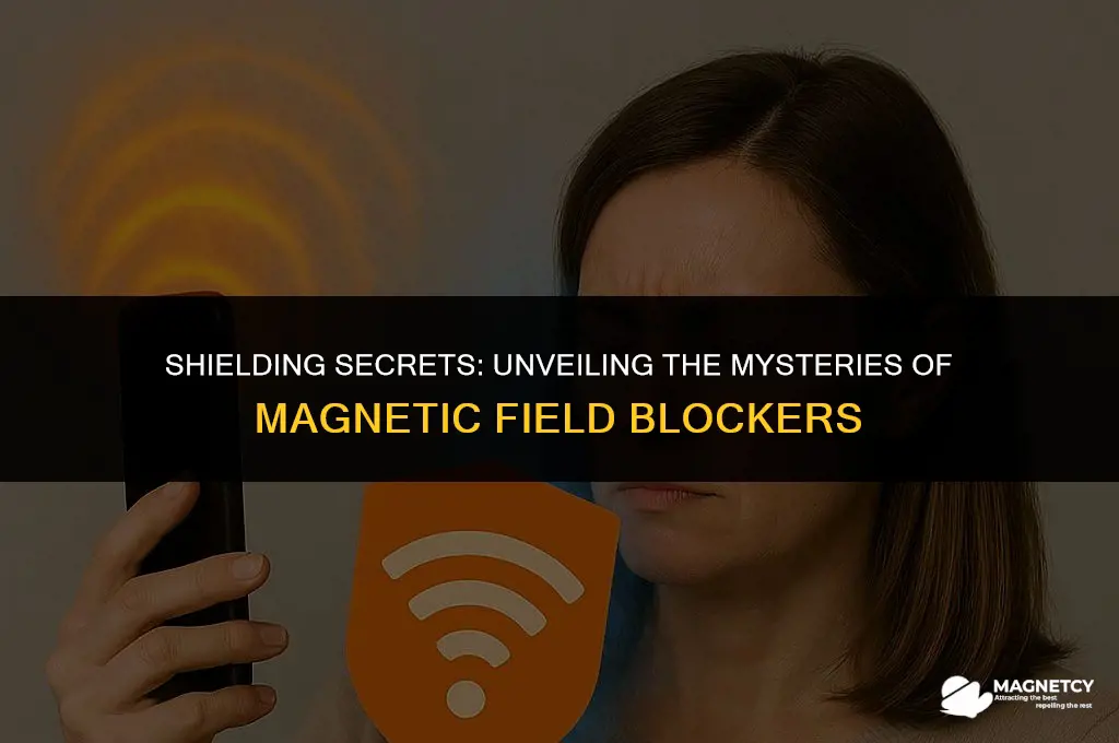 what blocks magnetic fields