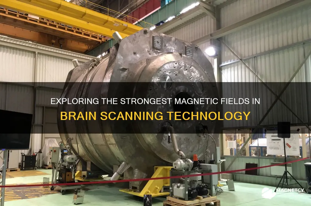 what brain scan uses the strongest magnetic feils