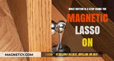 How to Stop Using the Magnetic Lasso Tool in Photoshop