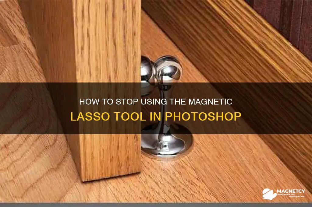 what button is a stop using the magnetic lasso on