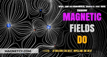 Dynamic Magnetic Fields: Unveiling the Cosmic Impact of Astronomical Objects