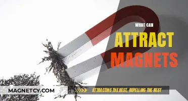 Unveiling Magnetic Mysteries: Exploring Materials That Attract Magnets