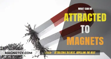 Magnetic Mysteries: Exploring Materials That Are Attracted to Magnets