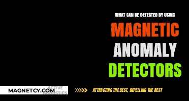 Magnetic Anomaly Detectors: Uncovering Hidden Objects and Geological Secrets
