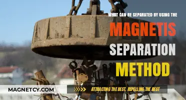 Magnetic Separation: Materials and Substances Effectively Sorted by Magnetism