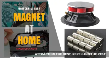 Discover Everyday Household Items That Can Double as Magnets