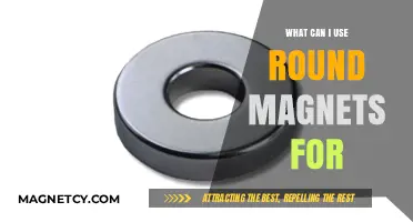 Creative Uses for Round Magnets: Practical and Fun Ideas to Try