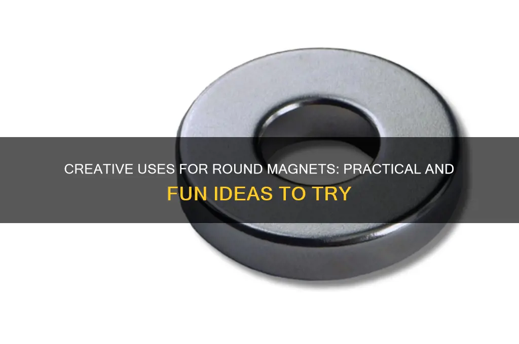 what can i use round magnets for