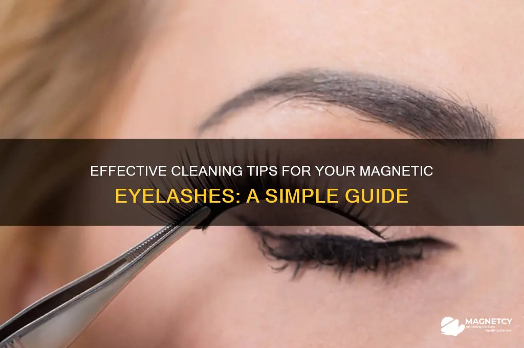 what can i use to clean my magnetic eyelashes