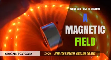 Tools and Techniques to Visualize Magnetic Fields Effectively