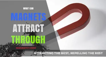 Magnetic Mysteries: Unveiling Materials Magnets Can Attract Through