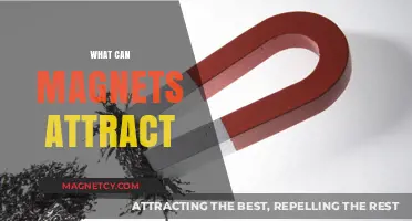 Magnetic Marvels: Unveiling the Surprising Materials Magnets Attract