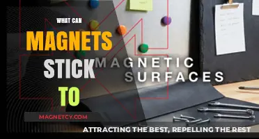 Magnetic Attraction: Surprising Surfaces Magnets Stick To and Why