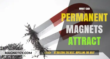 What Permanent Magnets Attract: Exploring Magnetic Materials and Forces