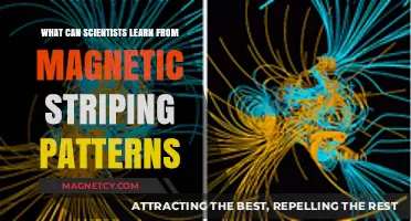 Magnetic Striping Patterns: Unlocking Earth's Secrets for Scientific Discovery