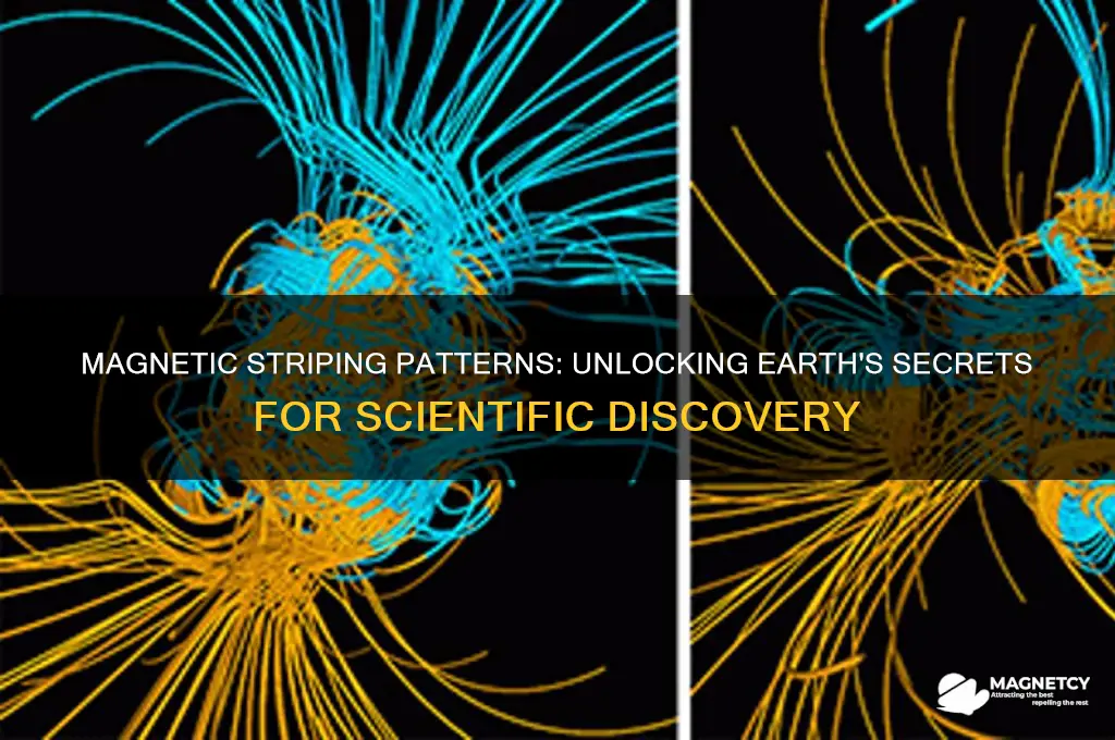 what can scientists learn from magnetic striping patterns