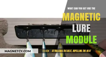Magnetic Lure Module: Creative Uses and Benefits for Fishing Enthusiasts