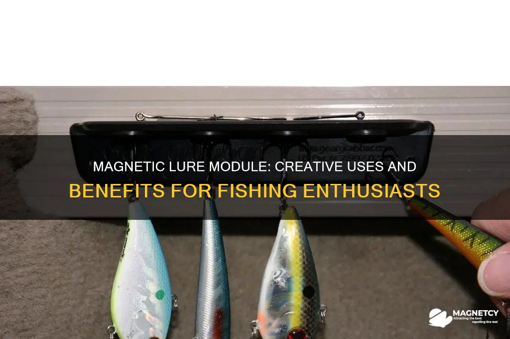 what can you get use the magnetic lure module