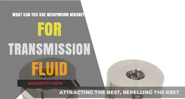 Neodymium Magnets: Innovative Uses for Transmission Fluid Maintenance